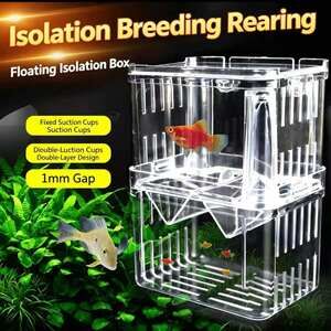 Double‑Layer Floating Aquarium Fish Breeding Isolation Box